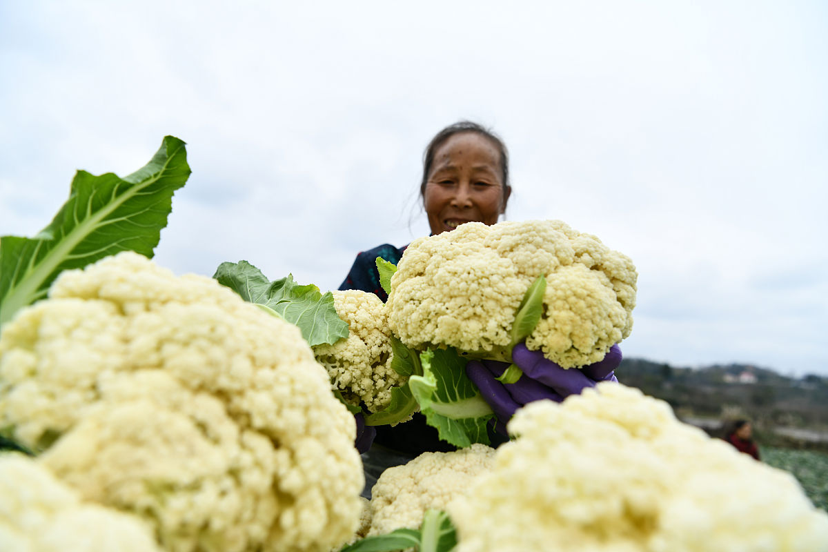 广西中医药大学地址在哪？ - 南宁市青秀区五合镇