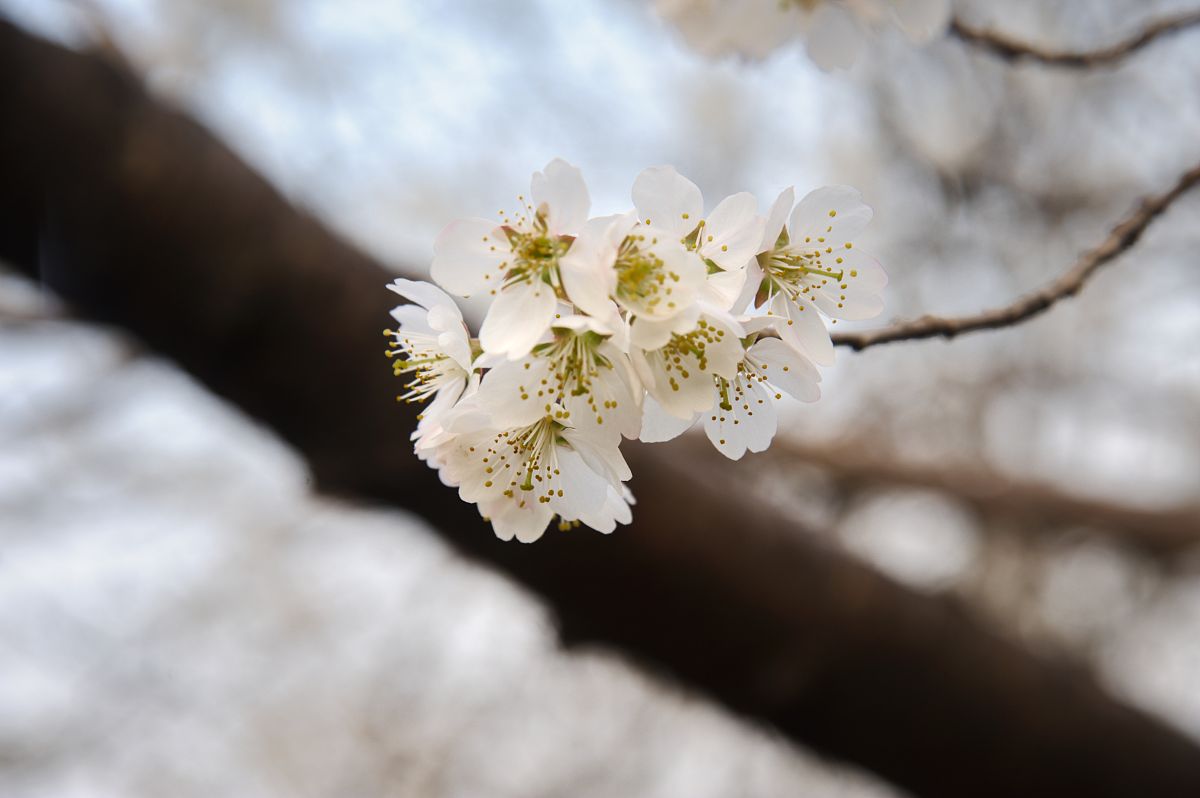 湖北2022年公办卫校招生计划公布，共计XX人