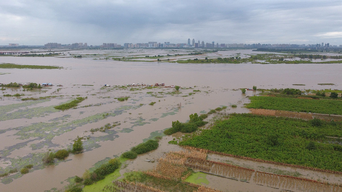 2021年8月13日,哈尔滨,松花江水位持续上涨,高出正常景观水位近两米,