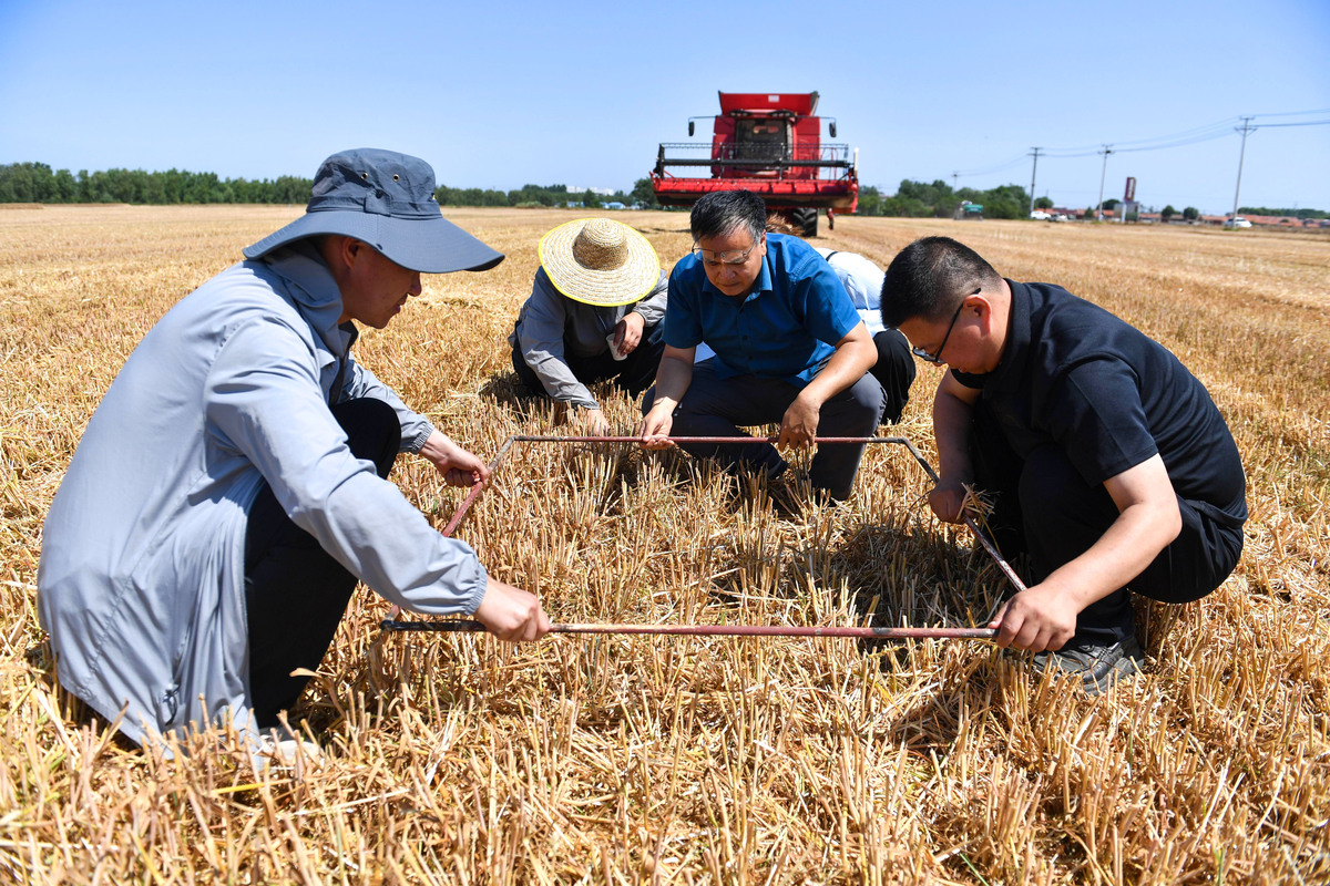 以在粮食公司向公司员工传承北大荒精神的社会实践活动总结 要求