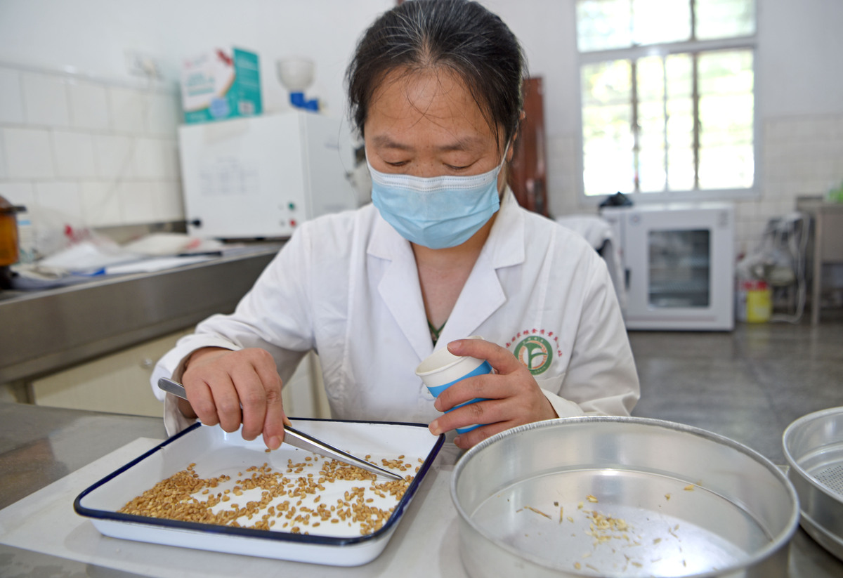 安徽粮食经济技师学院的粮食储藏与检测技术学习哪些课程