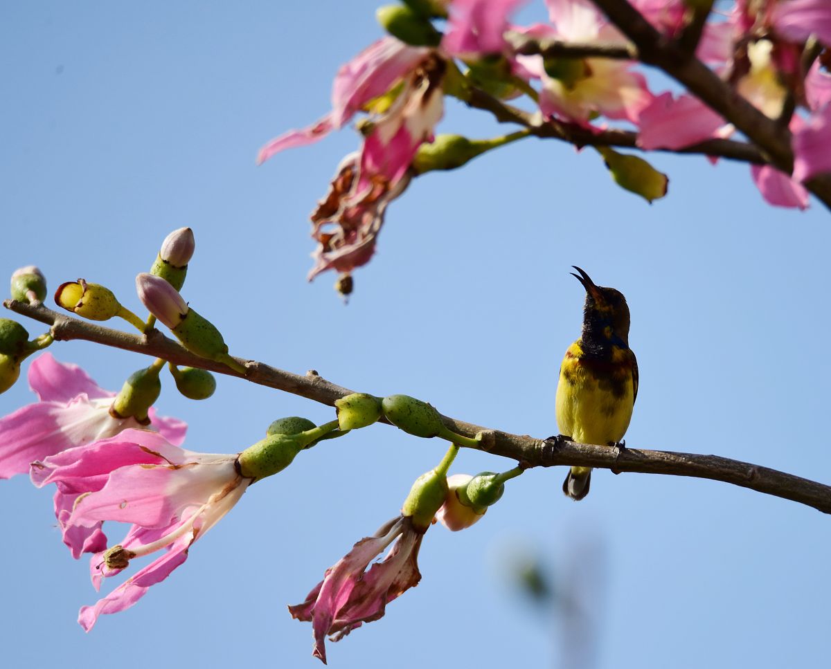 春天的美好：万物复苏，充满希望