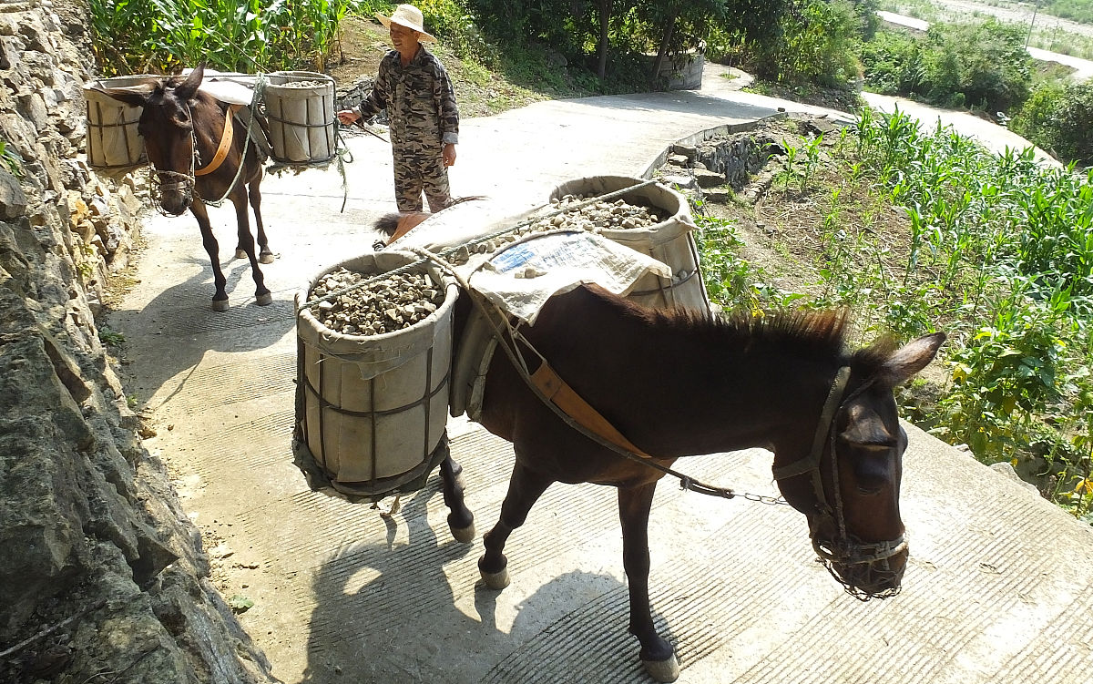 江油中坝职业中学2022年招生简章