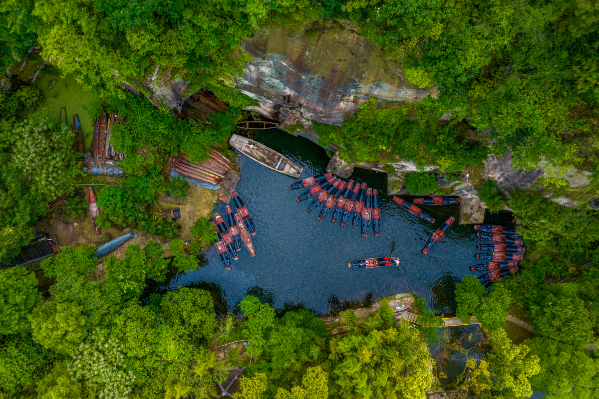 阿克雷州：探秘巴西橡胶之都，感受自然与文化的交融