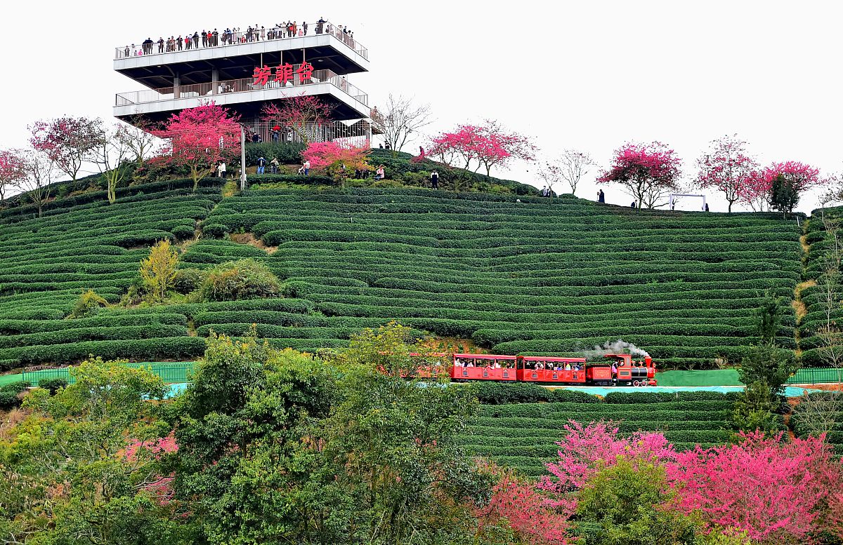 龙岩艺术设计学校2022年招生简章