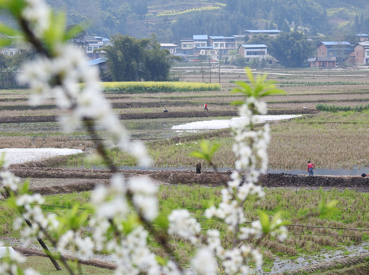 四川2022年中专都有些什么专业