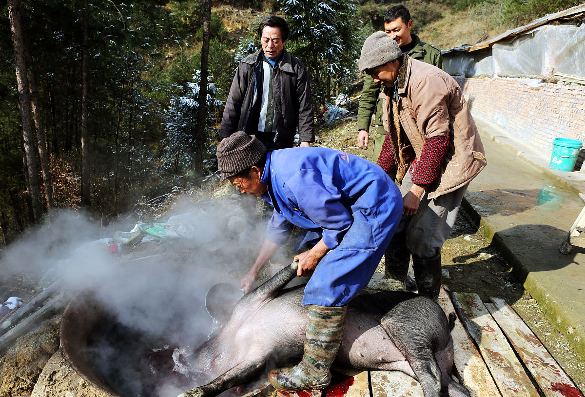 2019年重庆工程学院单招成绩查询