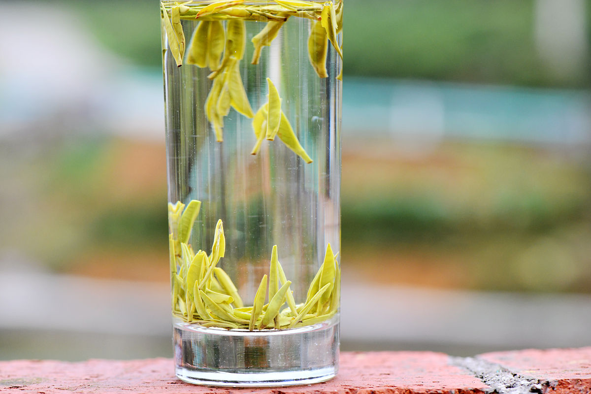 2019年凤冈县中等职业学校招生简章