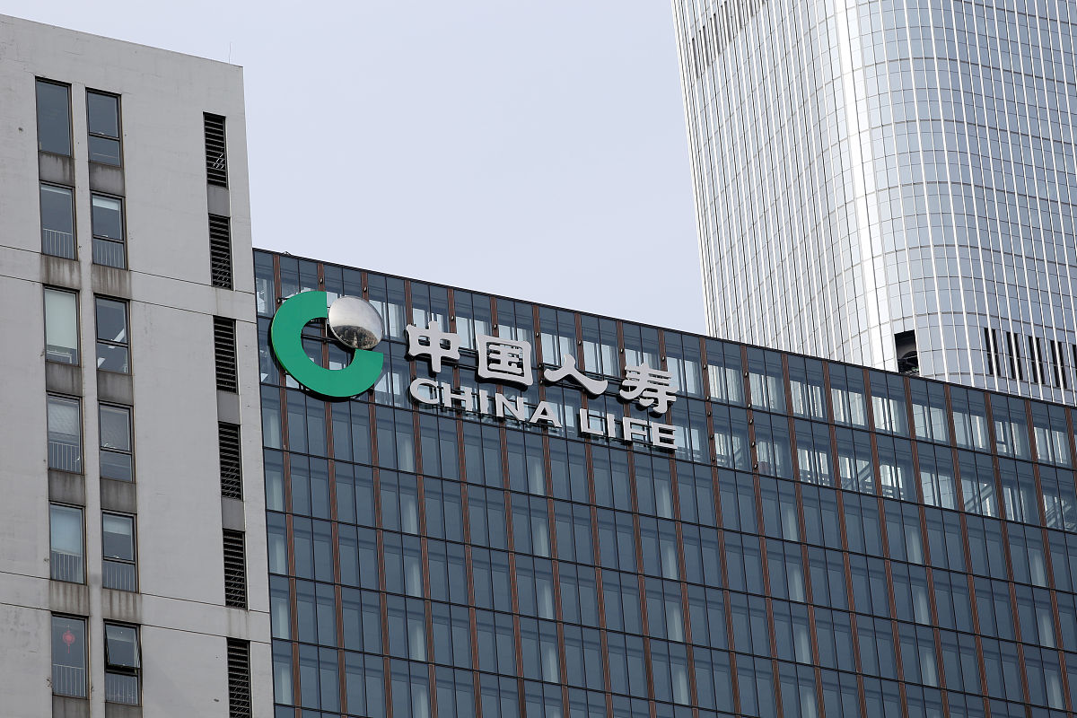 中国人寿保险公司是中国政府出资吗