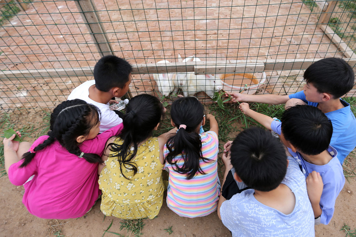 小白兔采蘑菇：300字看图写话故事