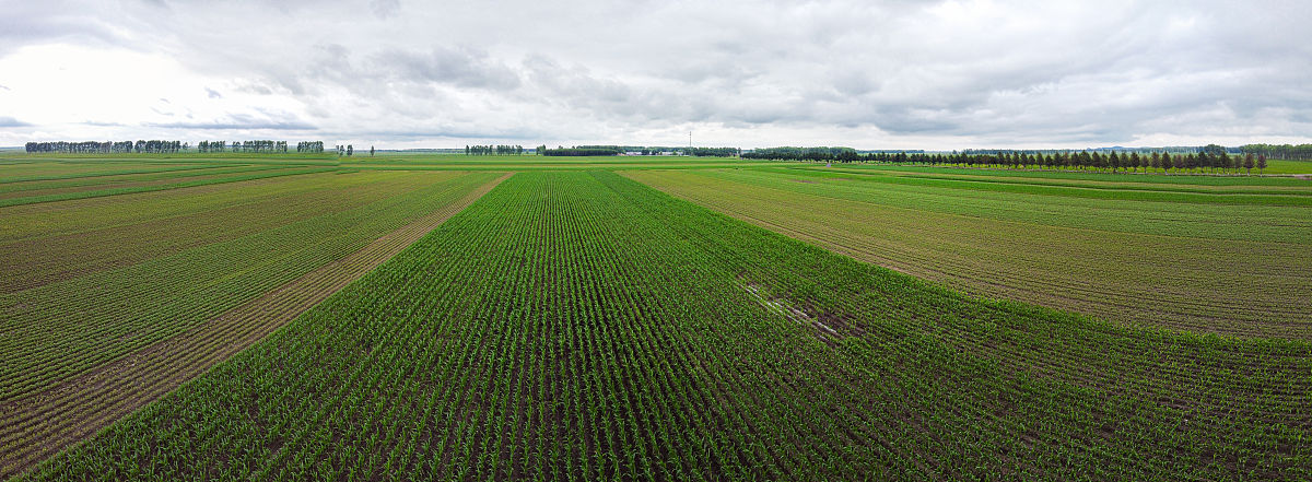 三江平原：中国重要粮食生产基地的优势条件