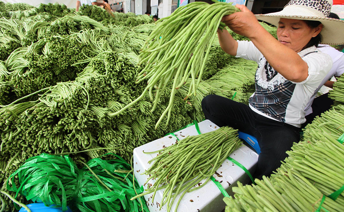 肠癌淋巴结转移分期：0-IV期详细解读