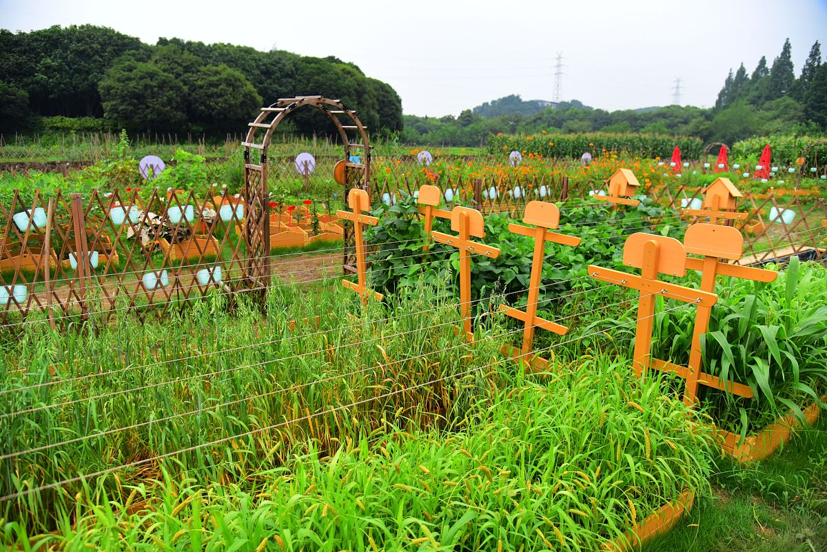 休闲农业专业简介