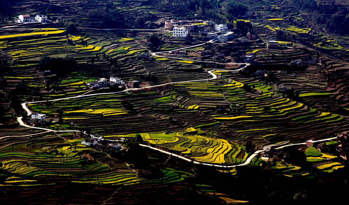 写一首描写春天来了的诗