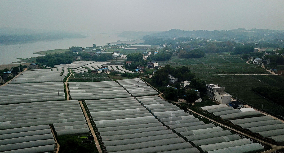 2018四川省泸州高级中学录取分数_外地招生