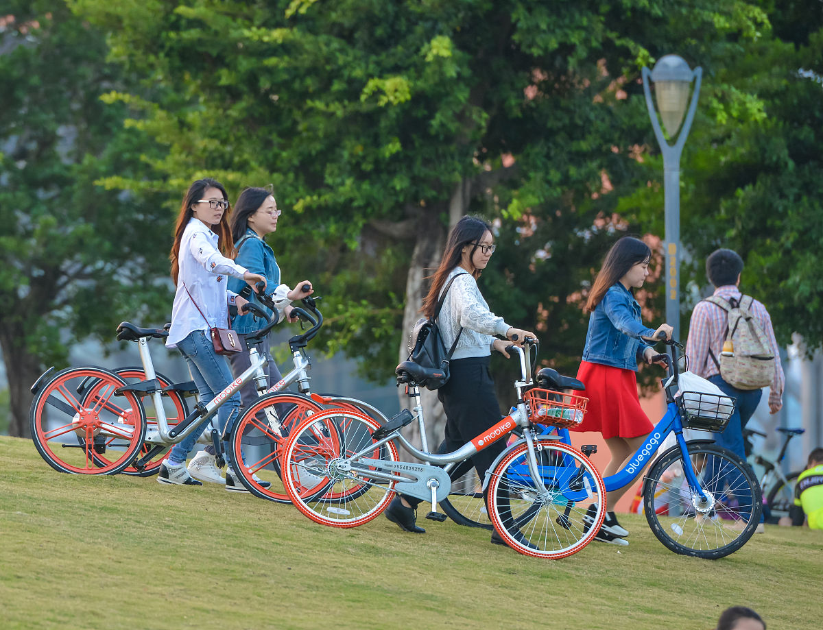环保少女快乐车：轻便耐用的环保出行选择