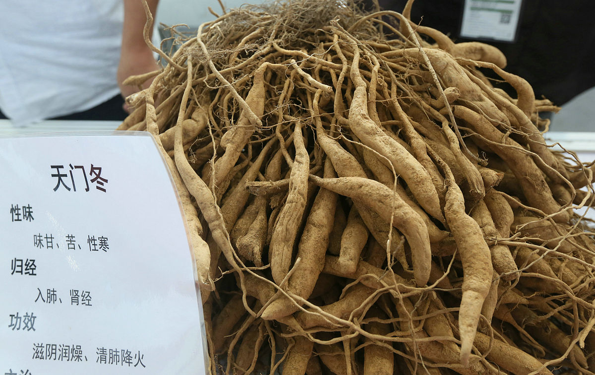 白芦根功效与作用：健康、瘦身、降压、护肝