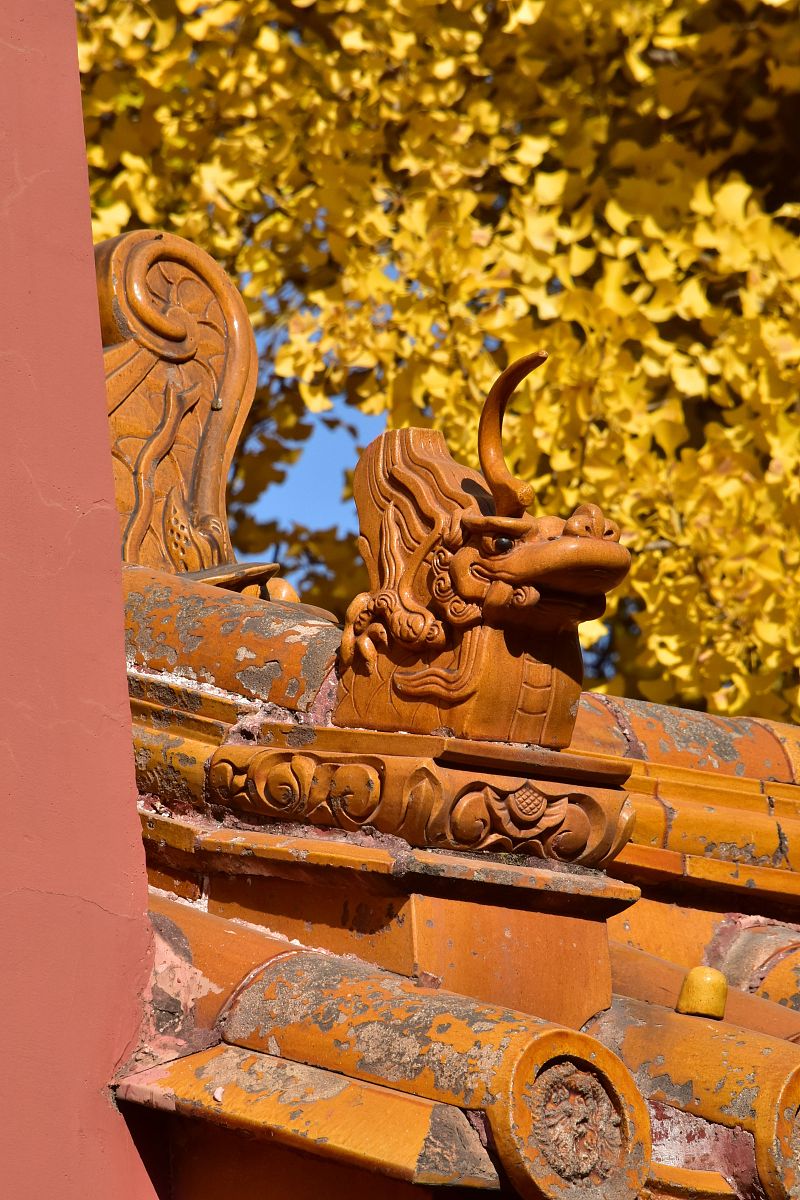 10w的设备不关机运行一个月多少度电