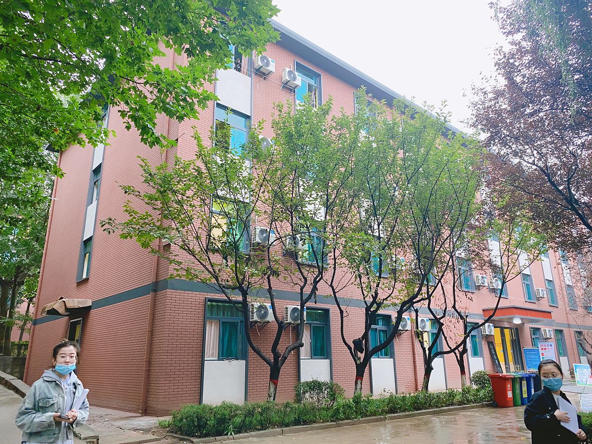 茶青色调色指南：打造自然温暖的空间