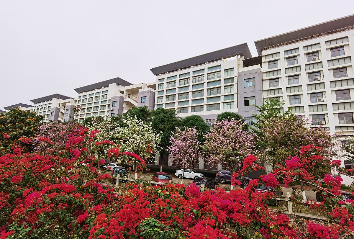 广西大学行健文理学院土木工程专业优势怎么样发展前景好不好呢