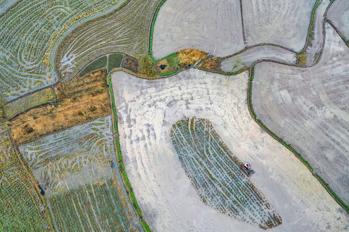 四川省经济贸易学校2022年新增专业：大数据、电商等