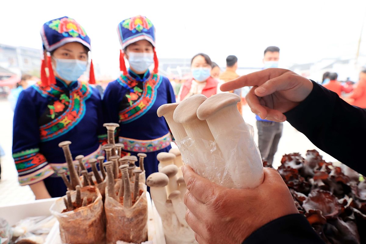 卫校学生如何选择适合自己的学习方向？