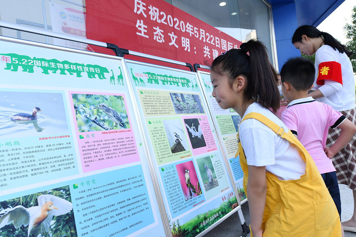 少先队队员的主要事迹