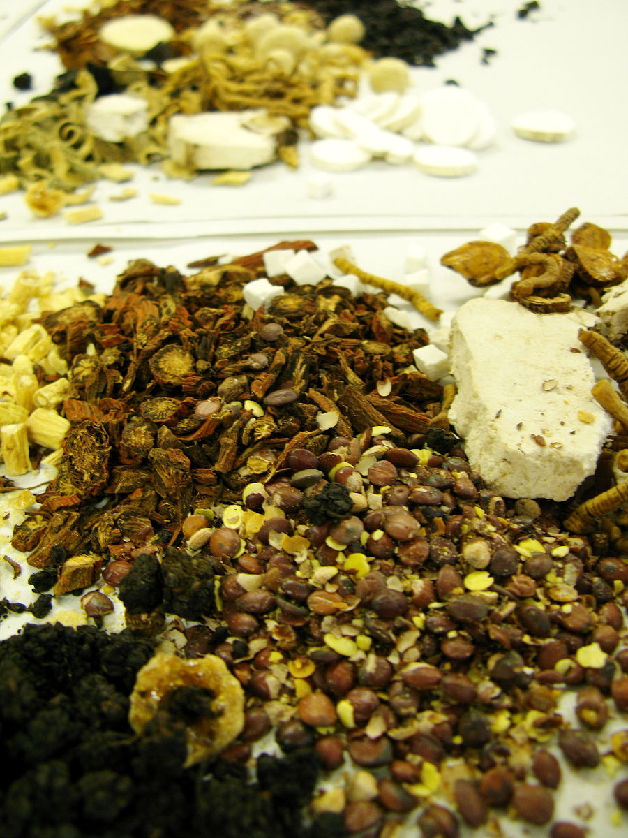 辽宁中医药大学2023年有哪些专业