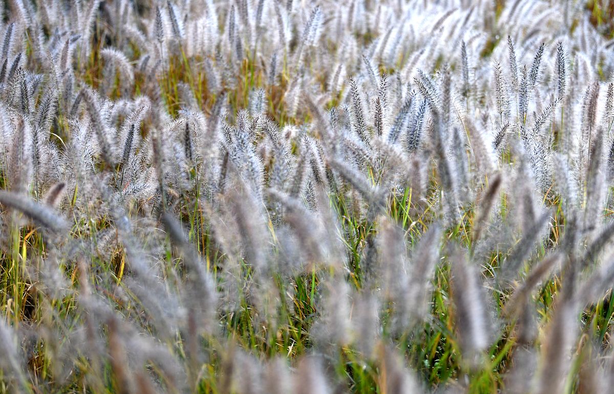 37度的嘴怎么说出来这么冰冷的话