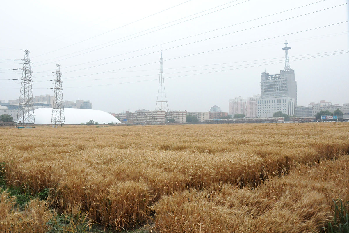 北京农业职业学院植物保护专业怎么样？ - 专业解析与就业前景