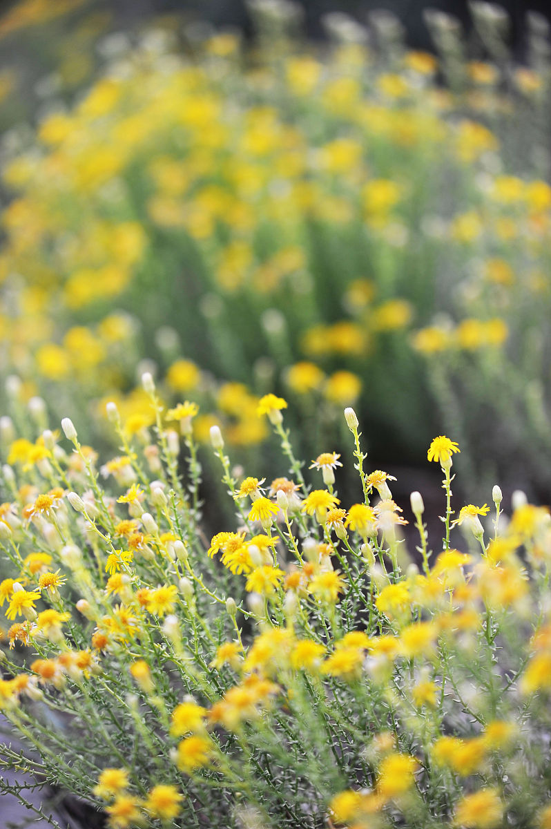 云南省水利水电学校2022年哪些专业招生