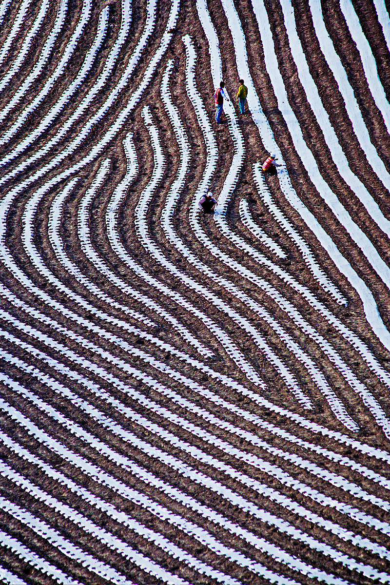 甘肃电子技术应用专业哪个学校好