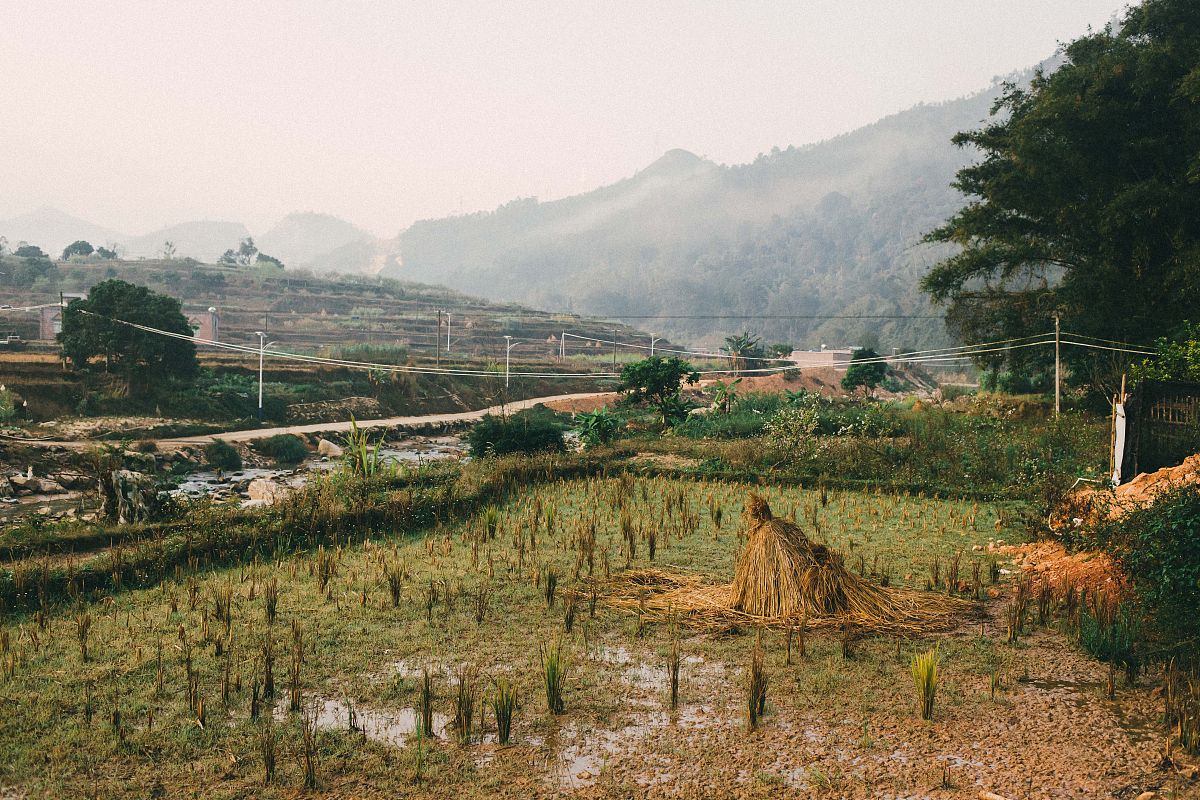发现魅力乡镇 - 探索乡村百科、风情与资讯