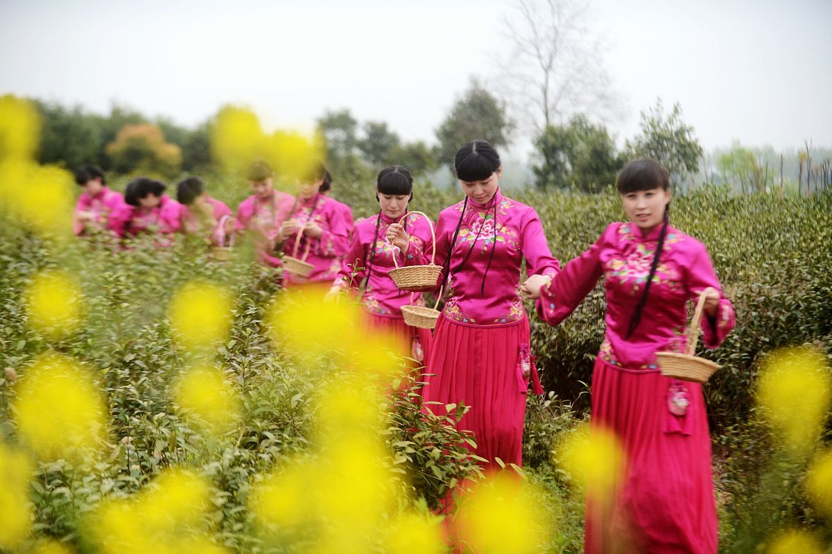 风吹稻花香两岸舞蹈