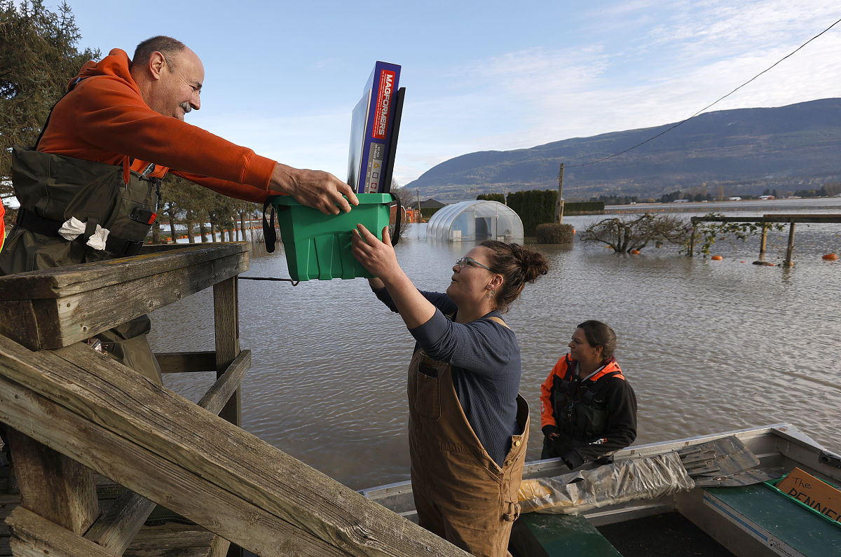 C语言程序分析：求和循环的实现