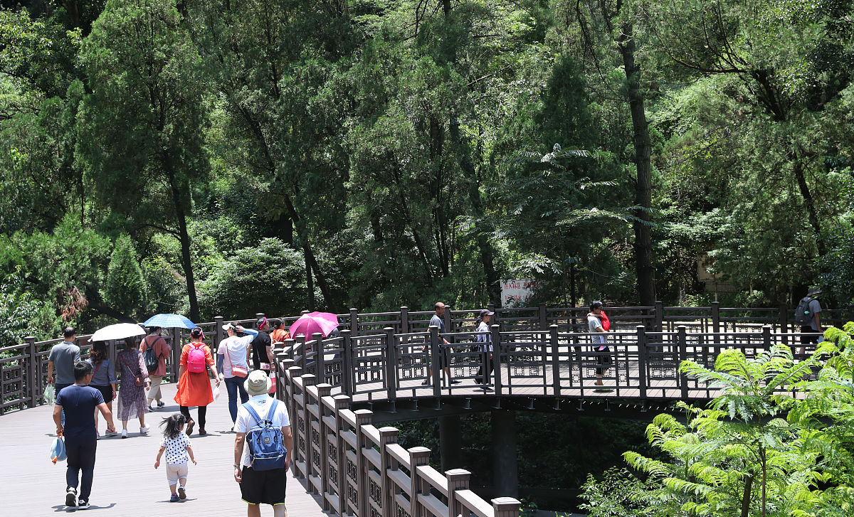 云南省林业学校2022年招生简章 - 林业专业人才培养基地