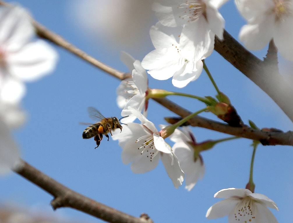 眉山有哪些卫校 最好的专业是什么
