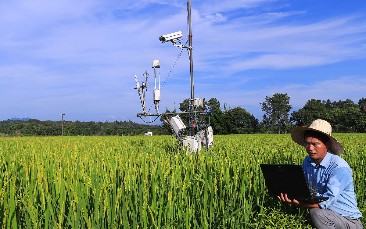 农业传感器的主流厂家