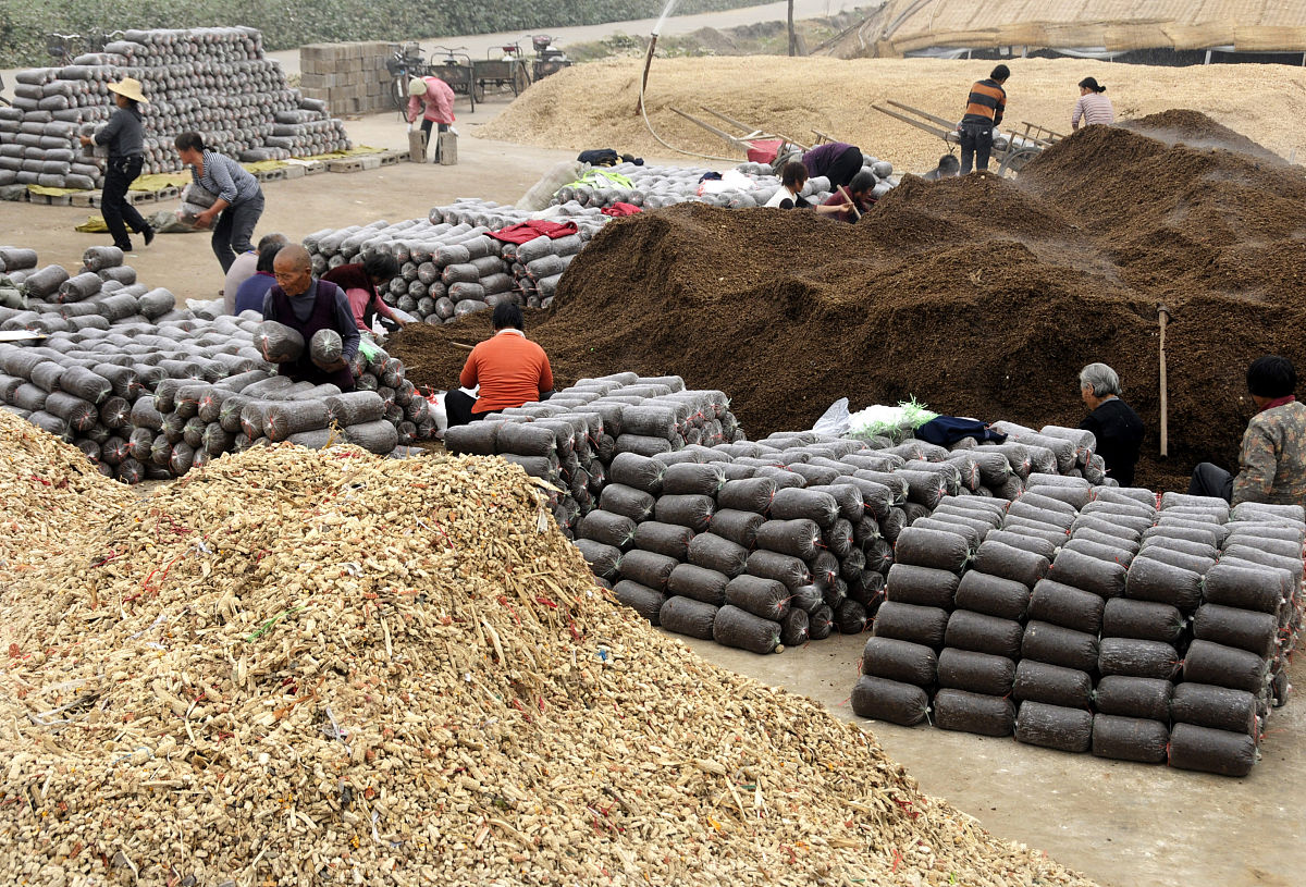 扶沟县牧原麸皮采购项目帮我用200字详细描述