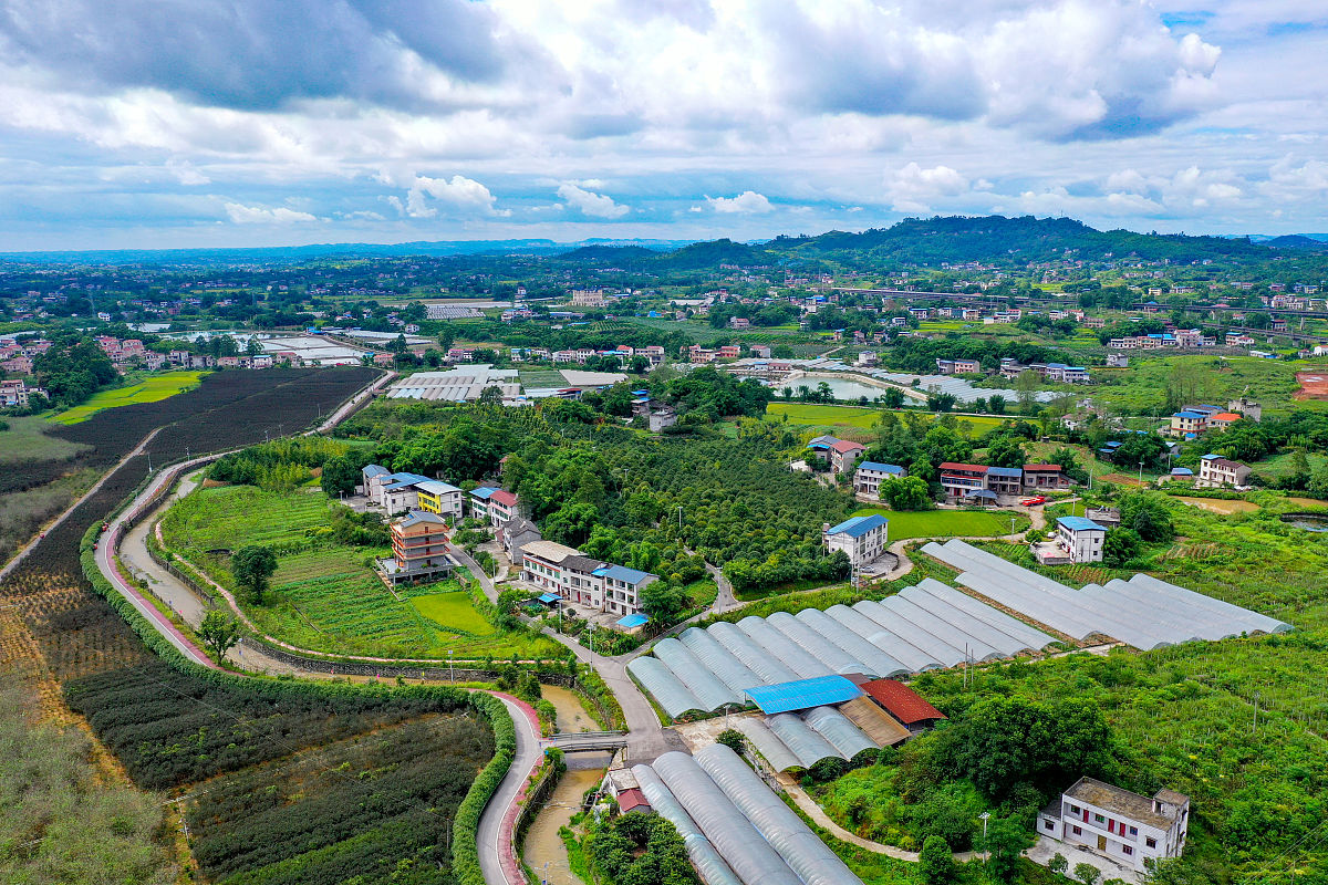 南宁南国乡村调研报告：现状、问题及发展建议
