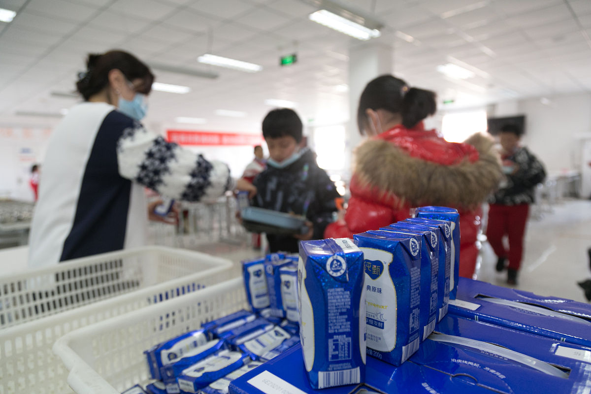 简历中搅拌型酸奶实习收获简述