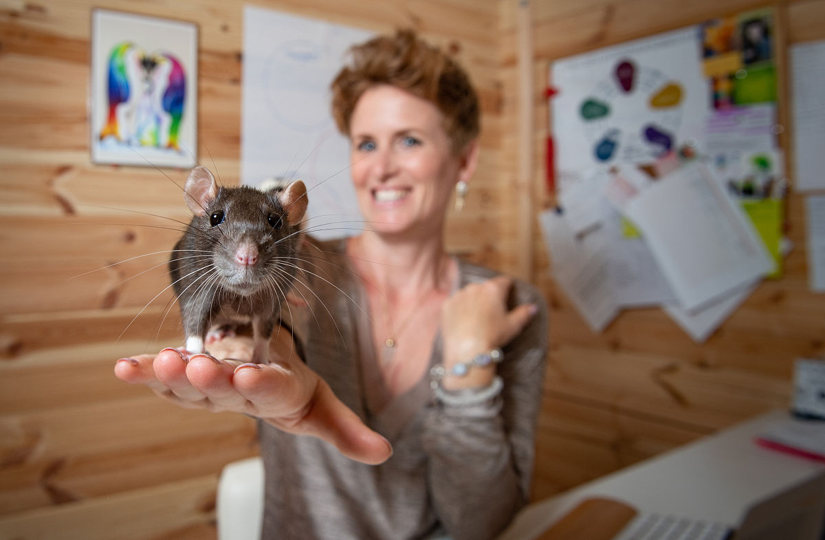 四川文秘专业哪个学校好用发散