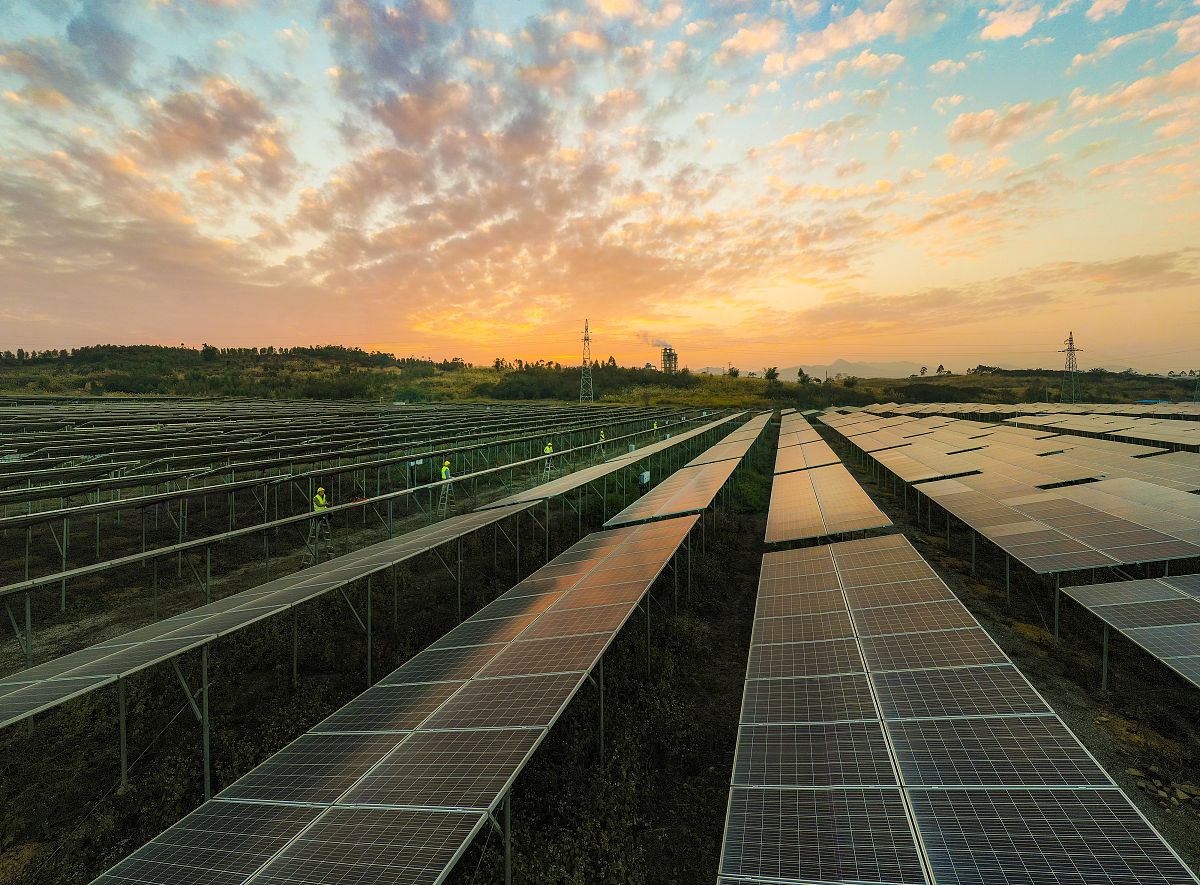 小学DNA提取项目式设计活动：让学生体验生命科学奥秘