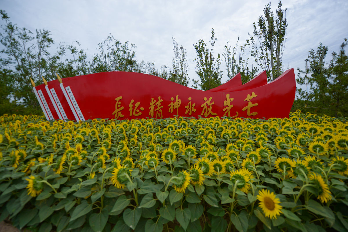 白洋淀：生态文明与红色文化交融，社会影响力深远