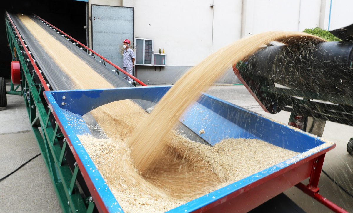 请参考以下内容重新生成一篇不少于800汉字的原创文章。主题是：《在家创业加工10个适合家庭做的小型加工项目》语言要幽默口语化。一、粮油加工二、净菜加工三、生活用纸加工四、秸秆加工五、木板六、 纯净水加工七、旧衣服回收加工八、 加工树枝树杈九、五金加工厂十、豆制品加工厂