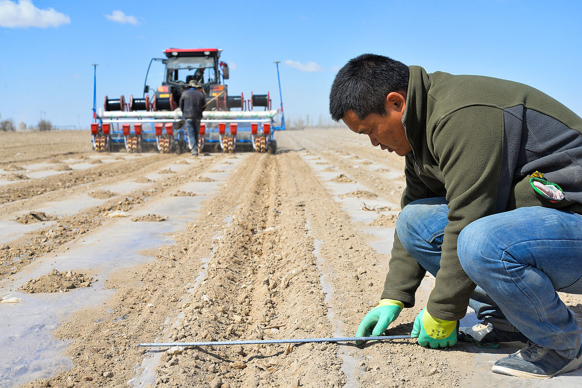 word中如何单独调节单行的行间距