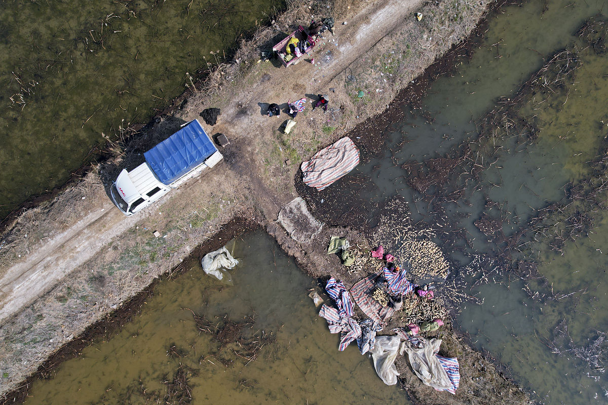 台风苏拉过后，智能探测中心守护城市安全