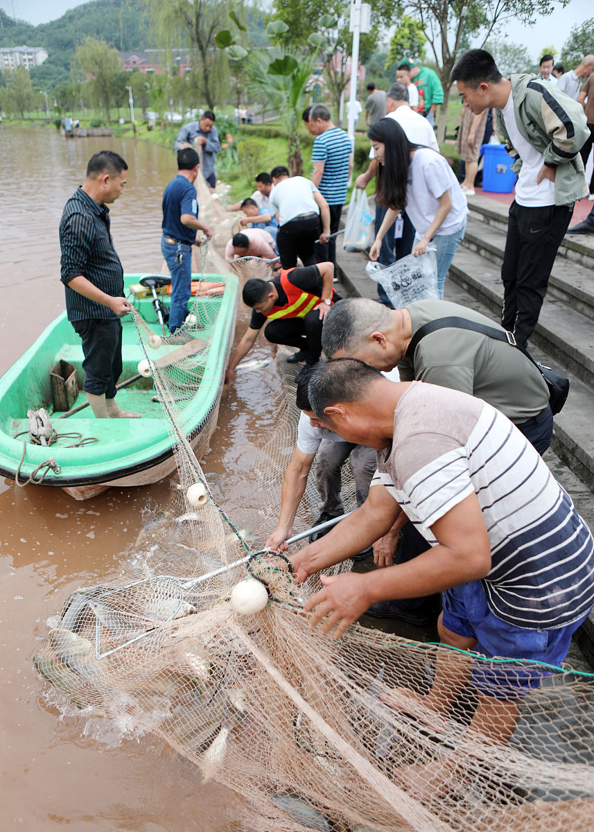 重庆工程职业技术学院会计电算化专业就业前景及教学模式分析