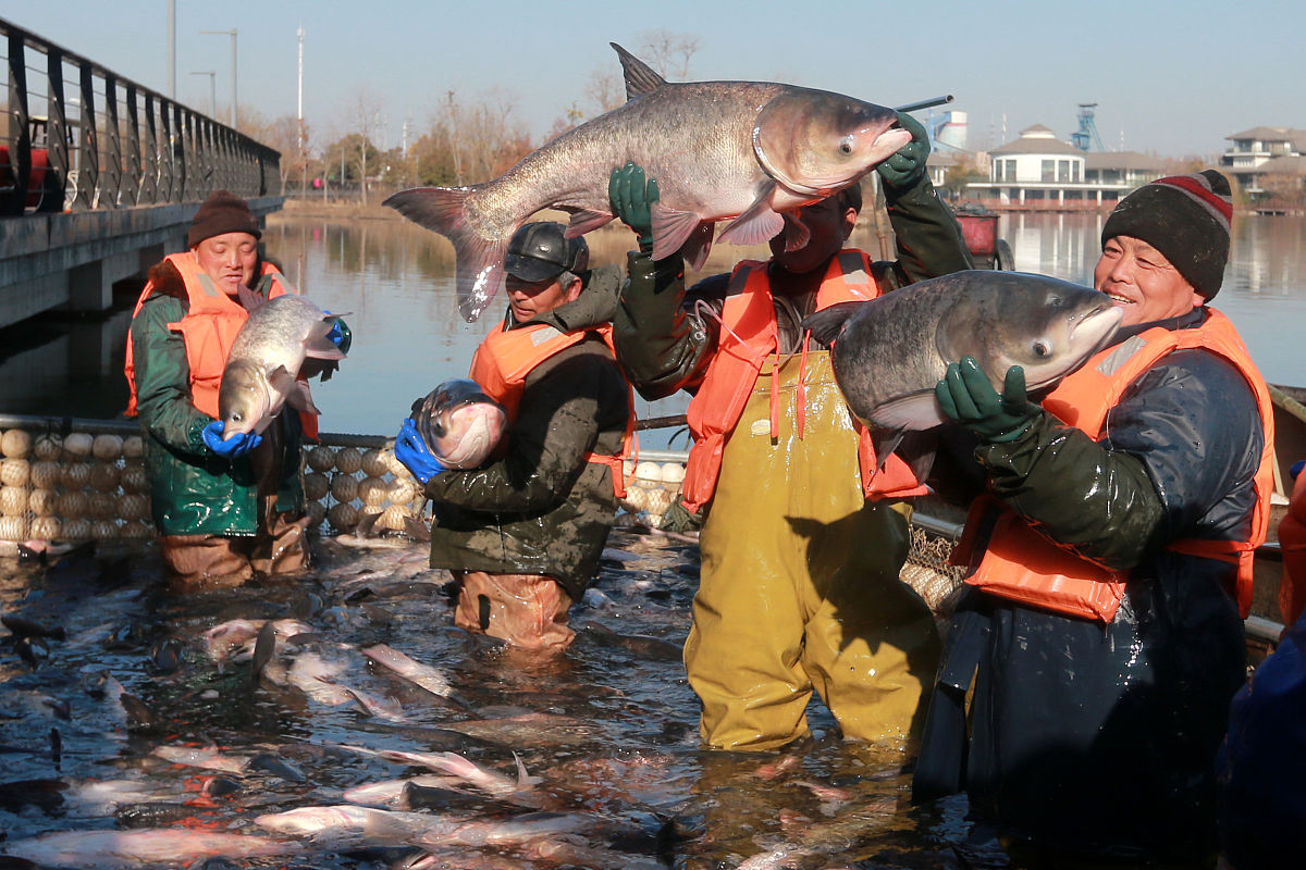 淮北市烈山区中等专业学校2021年录取分数线是多少？