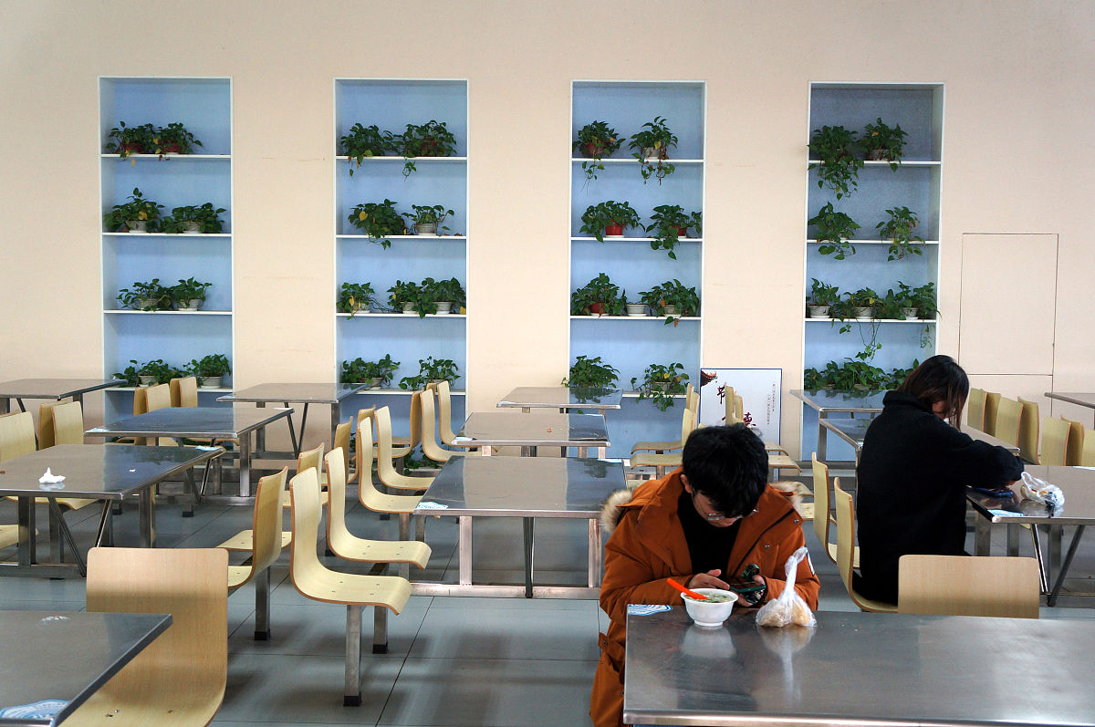 美国后疫情时期高校食堂设计研究现状：专业设计师视角